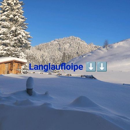 Haus Jessica Incl National Park Sommercard Mittersill Εξωτερικό φωτογραφία