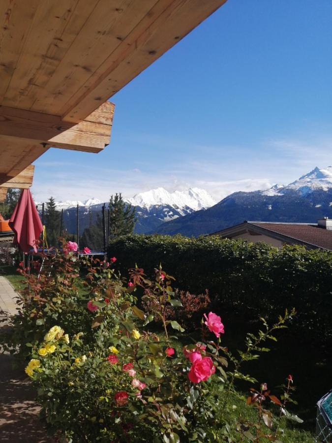 Haus Jessica Incl National Park Sommercard Mittersill Εξωτερικό φωτογραφία