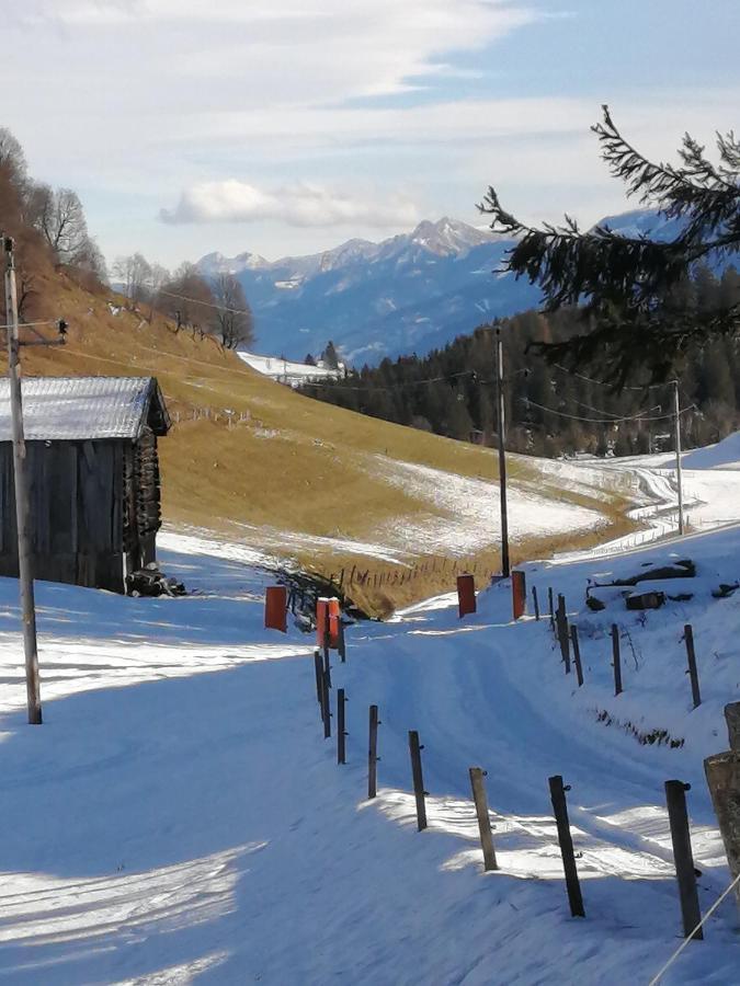 Haus Jessica Incl National Park Sommercard Mittersill Εξωτερικό φωτογραφία
