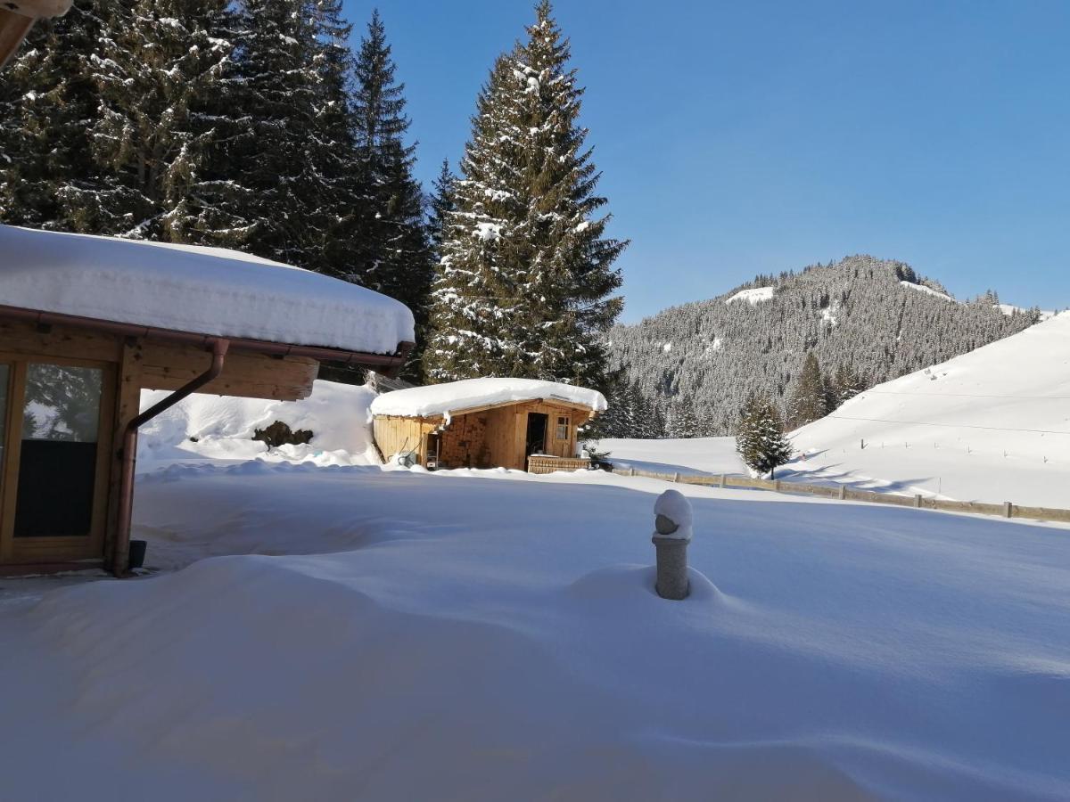 Haus Jessica Incl National Park Sommercard Mittersill Εξωτερικό φωτογραφία