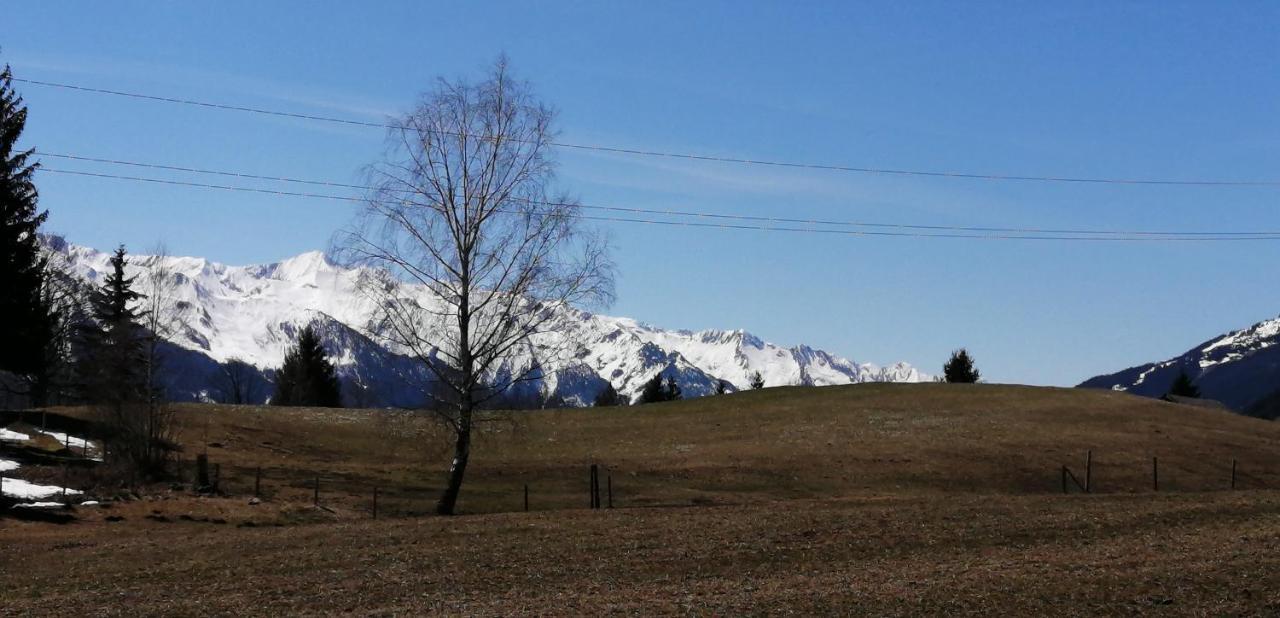 Haus Jessica Incl National Park Sommercard Mittersill Εξωτερικό φωτογραφία