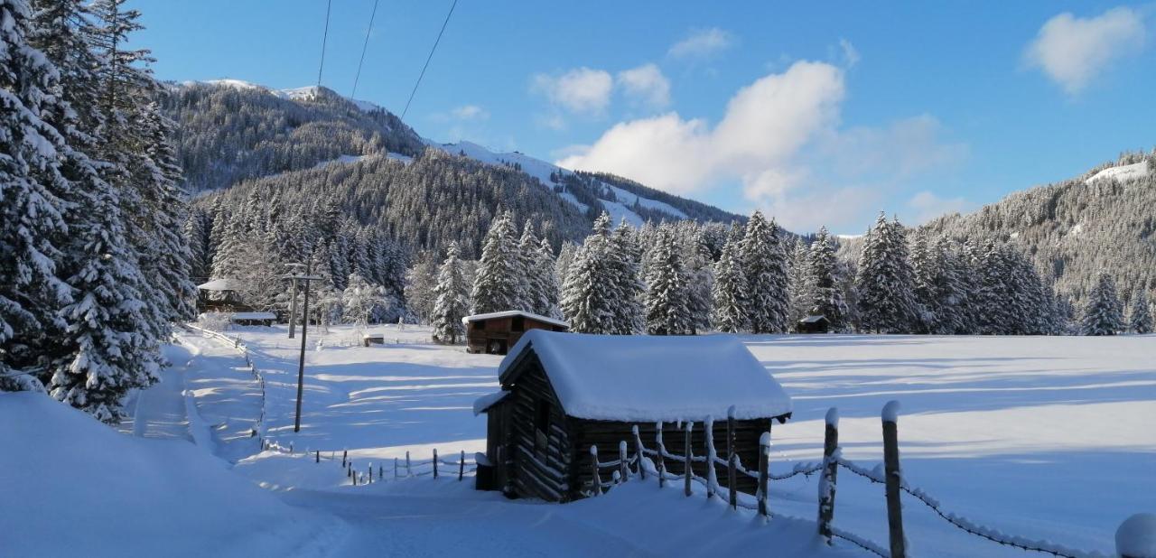Haus Jessica Incl National Park Sommercard Mittersill Εξωτερικό φωτογραφία